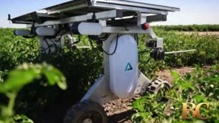 Solar-powered robot zaps weeds without chemicals