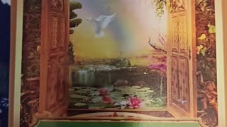 Oracle Card Reading 8/7/25