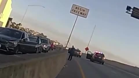 Felons Play Hide and Seek with Police After Stealing Vehicle