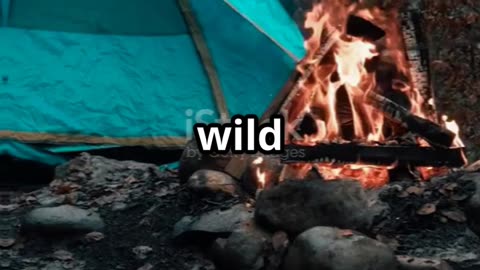 Three Camping Food Tips #prepping #shtf #shtfsurvival