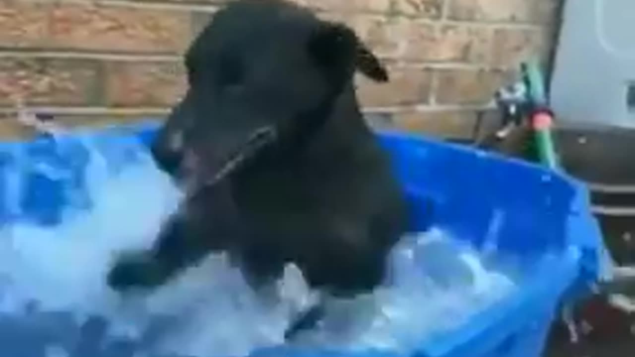 Are You Done?