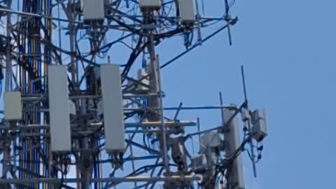 What is this Cell Tower doing?