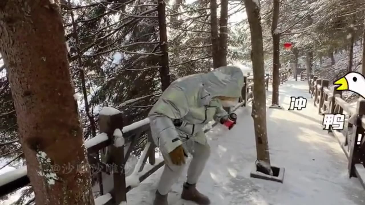 Funny Video 2025 New Funny Videos