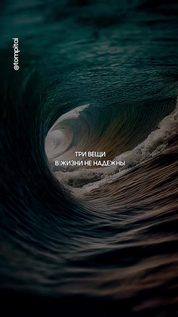 Три вещи, которые решают твою жизнь | Мудрые слова, о которых нельзя забывать @tompitai ​