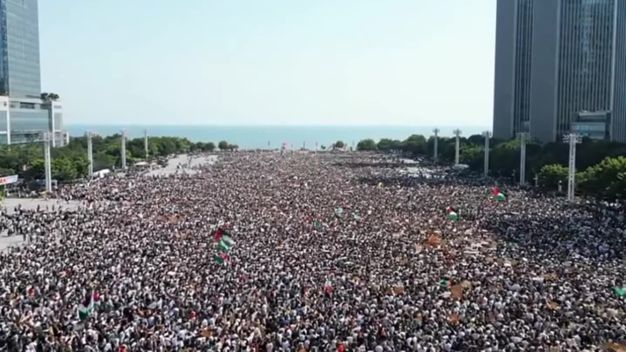 Standing up for humanity✊