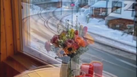 Train Journey with Coffee, Juice, and Flowers.