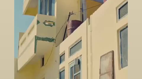 Punjabi song ❤️‍🔥❤️‍🔥