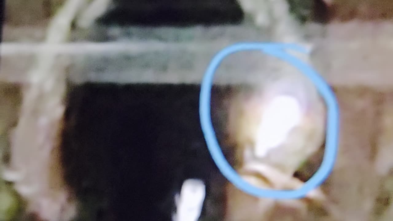 Super Soldiers, we are being Trafficked