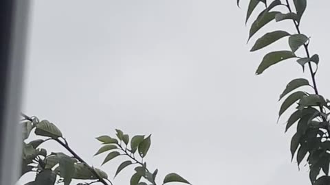 🤯 What is this? Balloon? Or something else? | TheTruthAbove