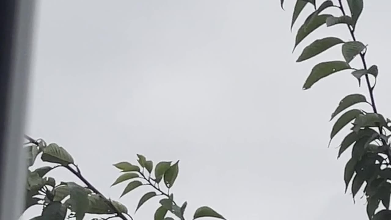 🤯 What is this? Balloon? Or something else? | TheTruthAbove