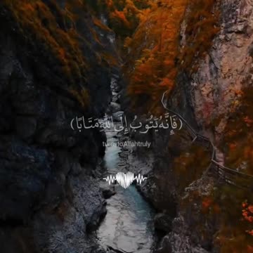 Quran Telawat Before Sleep 💤🤍 | Peaceful Night Recitation