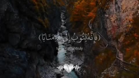 Quran Telawat Before Sleep 💤🤍 | Peaceful Night Recitation