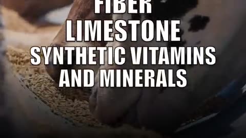 Watch. Grass fed beef, the biggest scam on the planet.