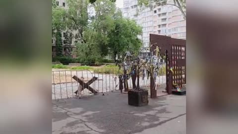 🎉🇺🇦 Ukraine Russia War | Flag Day Celebrations in Mykolaiv | RCF