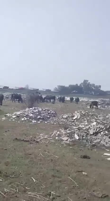 🇵🇰👀🇮🇳 Pakistan’s Army is deploying 203mm M110 self-propelled howitzers towards