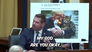 When Eric Swalwell had an epic meltdown about cats and ducks meme