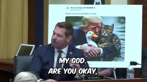 When Eric Swalwell had an epic meltdown about cats and ducks meme