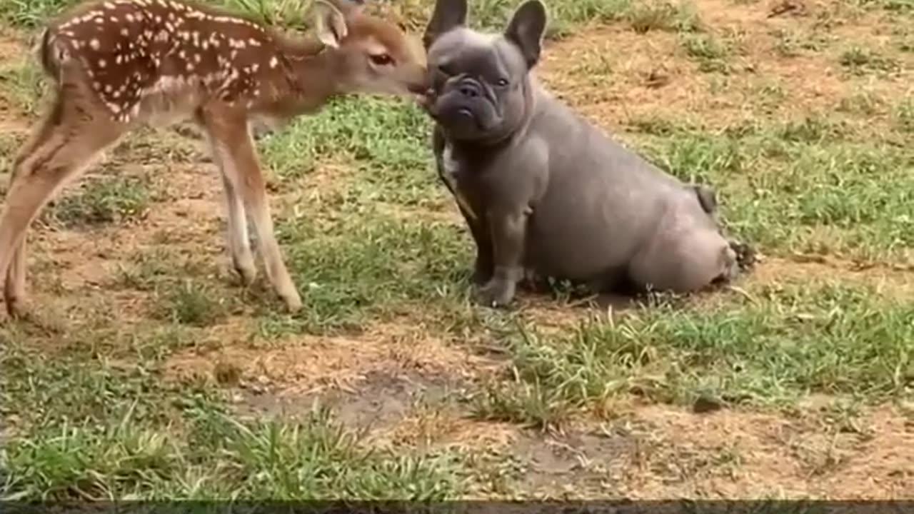 What a wonderful couple