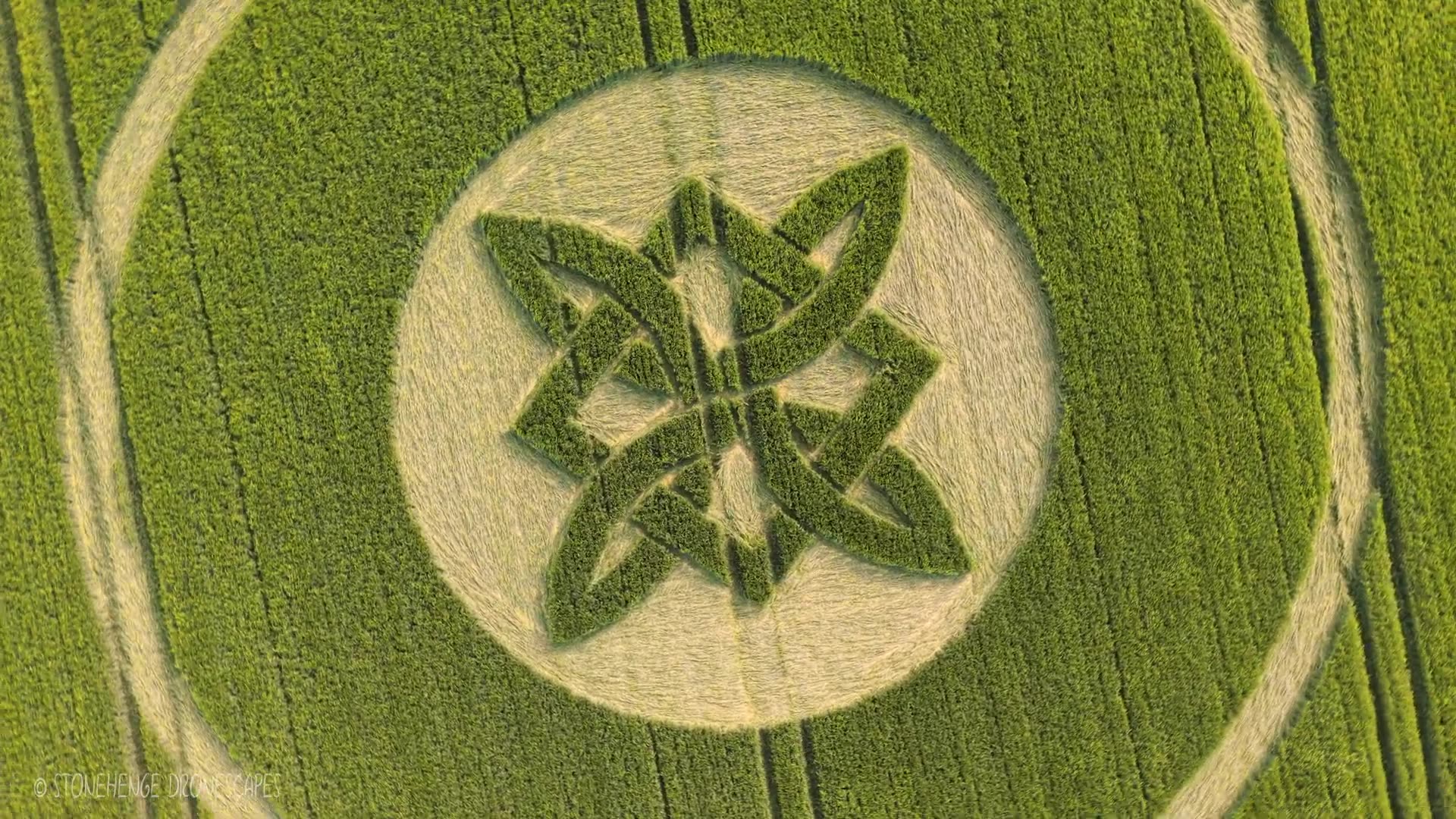 Crop Circle - Les galops à Sutton Veny, Wiltshire - 15 mai 2025