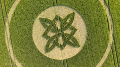 Crop Circle - Les galops à Sutton Veny, Wiltshire - 15 mai 2025