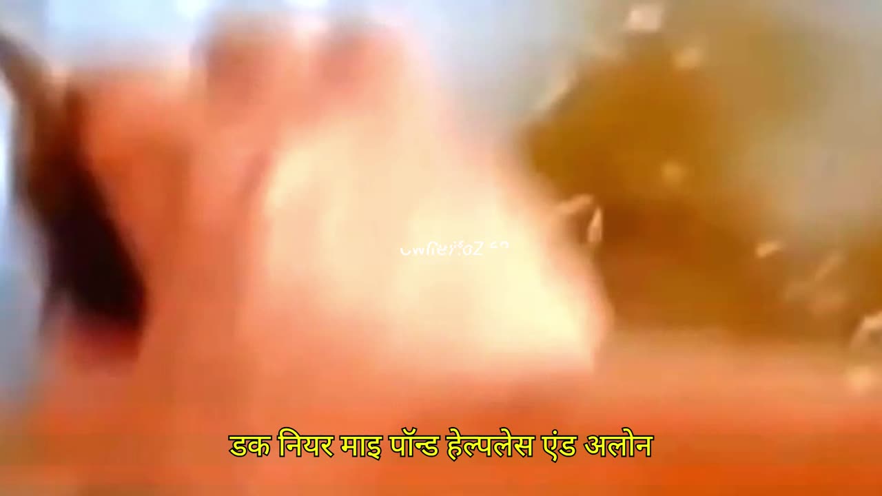 Found Duckling, Gained a Soulmate!