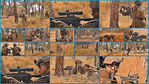 MRF-D 25.3: Predator's Walk Platoon Attack Range Live Fire Exercise!