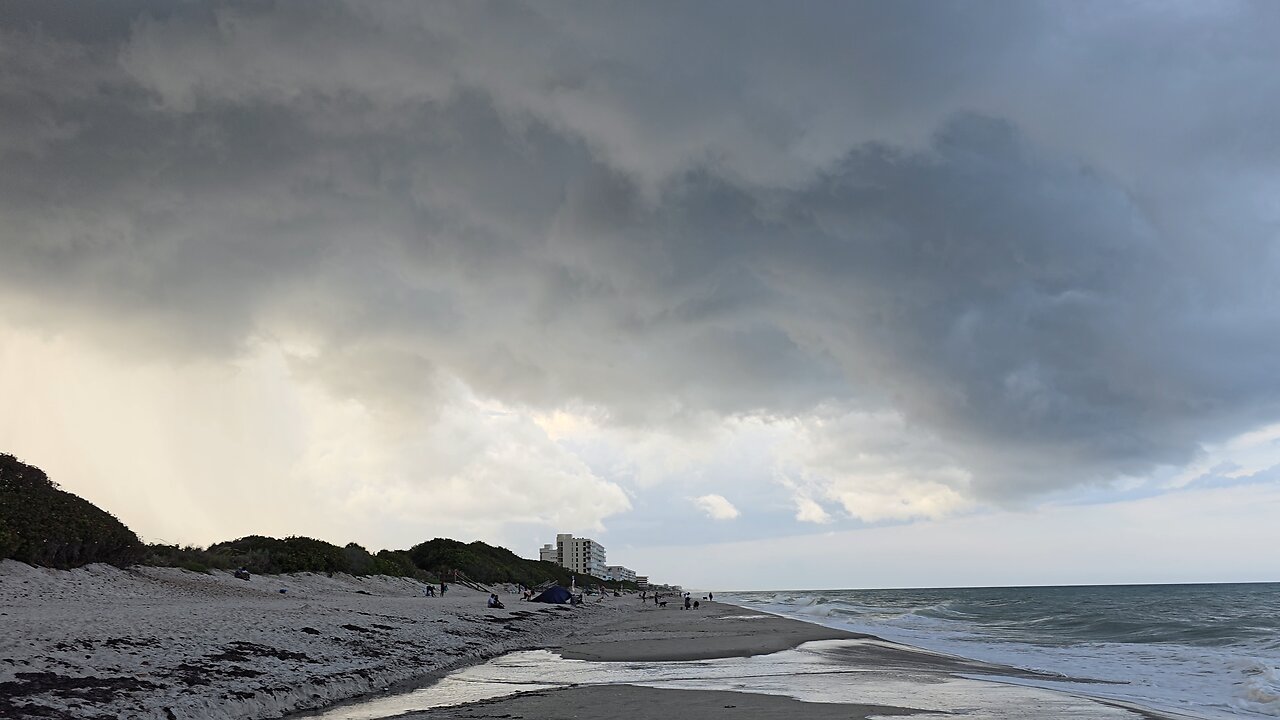 Luna Dalmatian Stormy Ocean