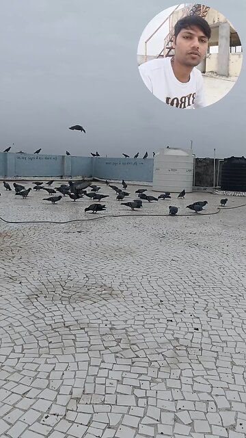 jivdaya mehsana 🥰🌹🥰🥰