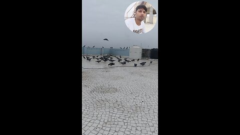 jivdaya mehsana 🥰🌹🥰🥰