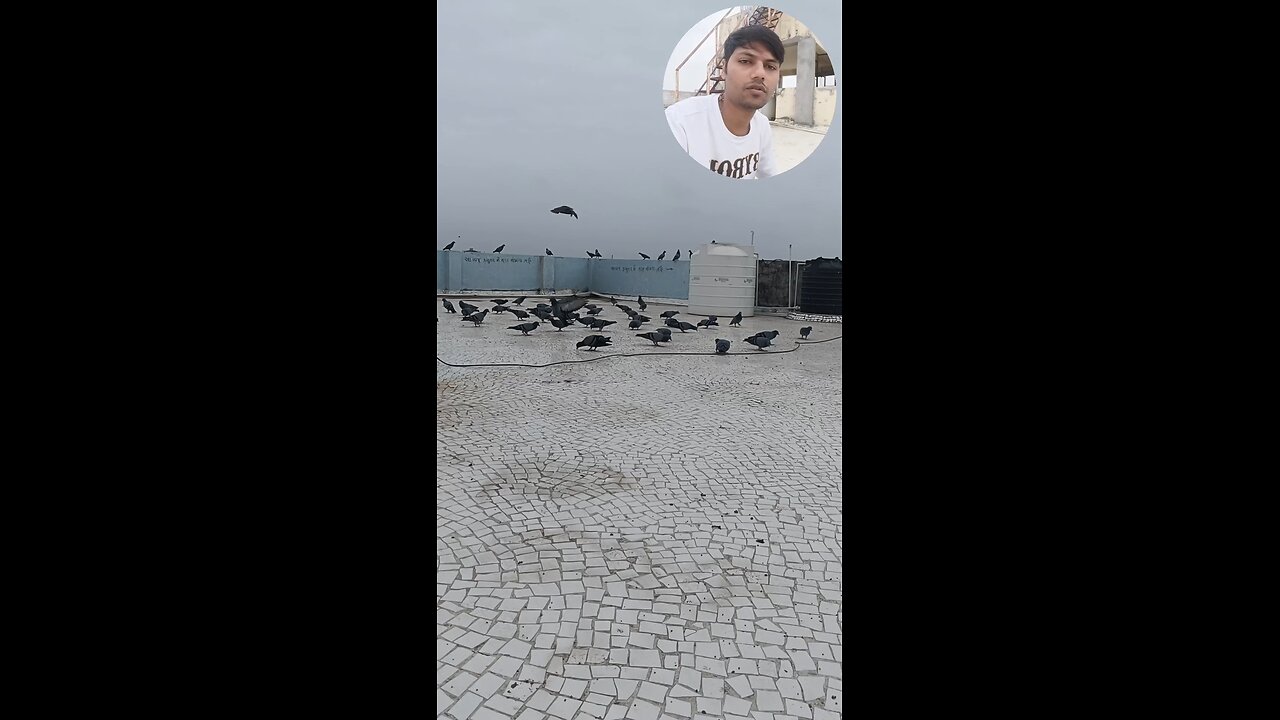 jivdaya mehsana 🥰🌹🥰🥰