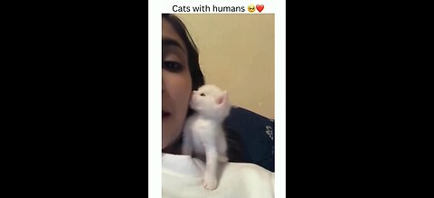 They Judge You… Then Cuddle. Cat Logic, Folks 🐾🧠