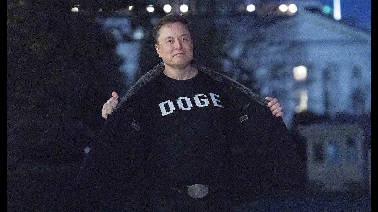 Elon Musk Slam-Dunks 'Liberal Tesla Lover' Jessica Tarlov