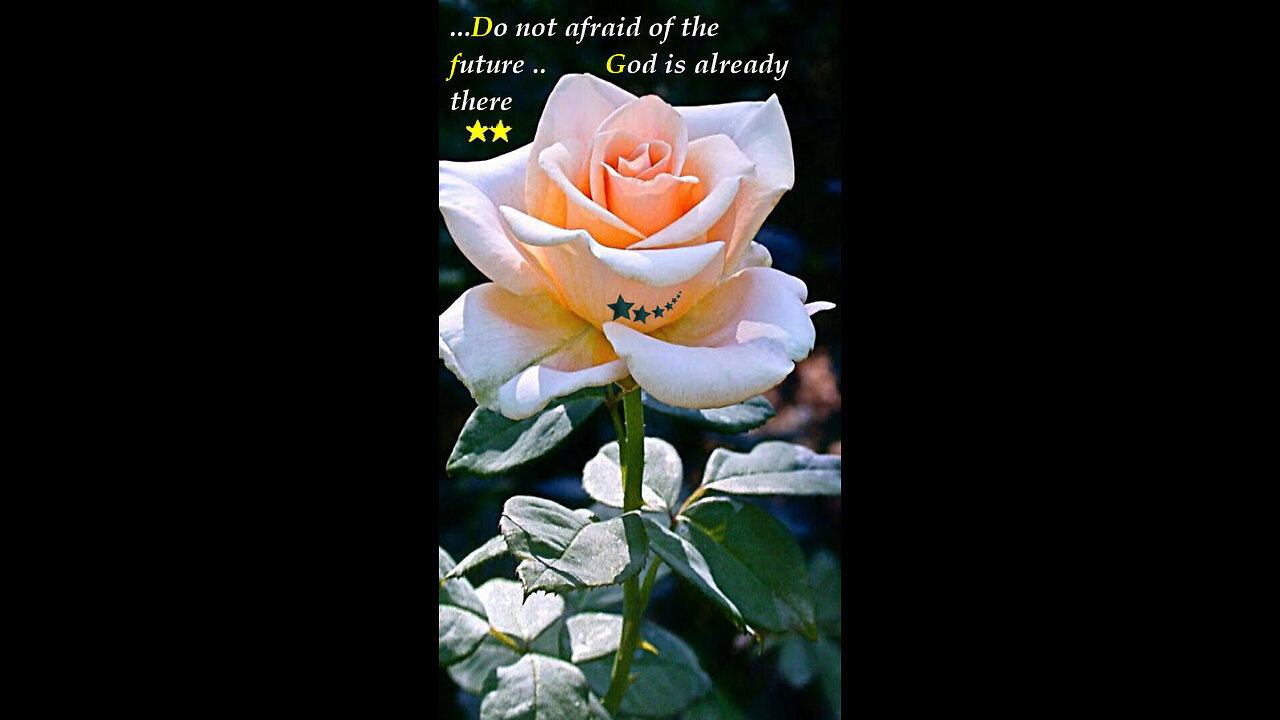Joe 🛩️ 453 ~ Angel Of The Morning