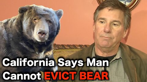 California Democrats Give Squatters Rights To A BEAR