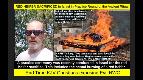 RED HEIFER SACRIFICED in Israel in Practice Round of the Ancient Ritual