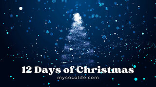 12 Days of Christmas: Day 4