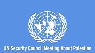 UN Security Council Meeting About Palestine