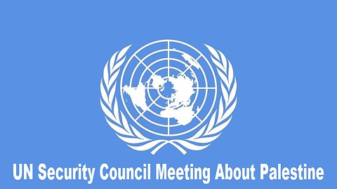 UN Security Council Meeting About Palestine