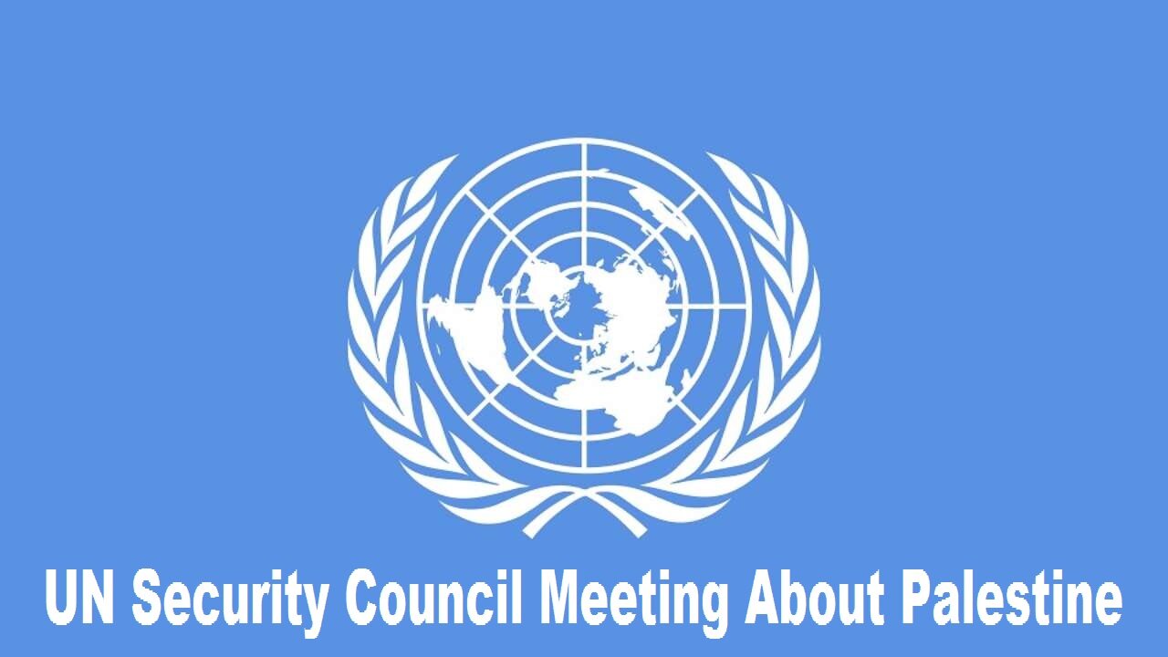 UN Security Council Meeting About Palestine