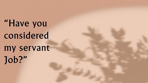Have You Considered My Servant Job?