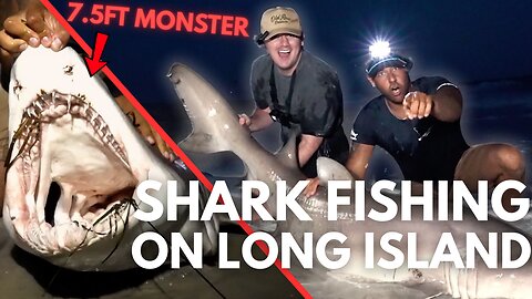 We Caught Massive Sharks in New York City Presented By Four Loko
