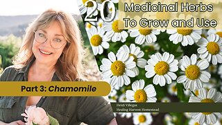 20 Medicinal Herbs to Grow & Use - Part 3: Chamomile