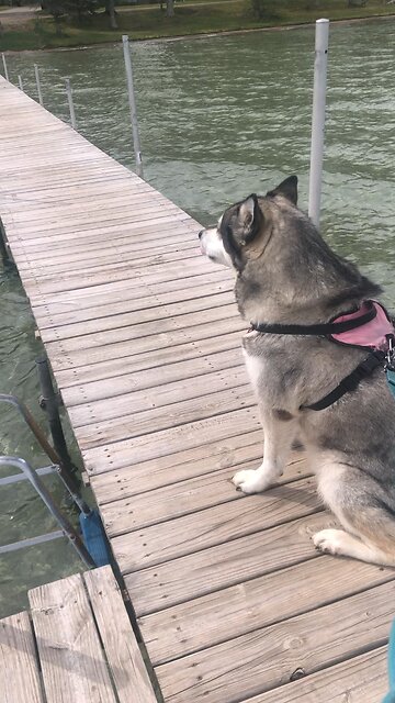 Tuesday May 20, How long will you judges hand down unjust decisions?