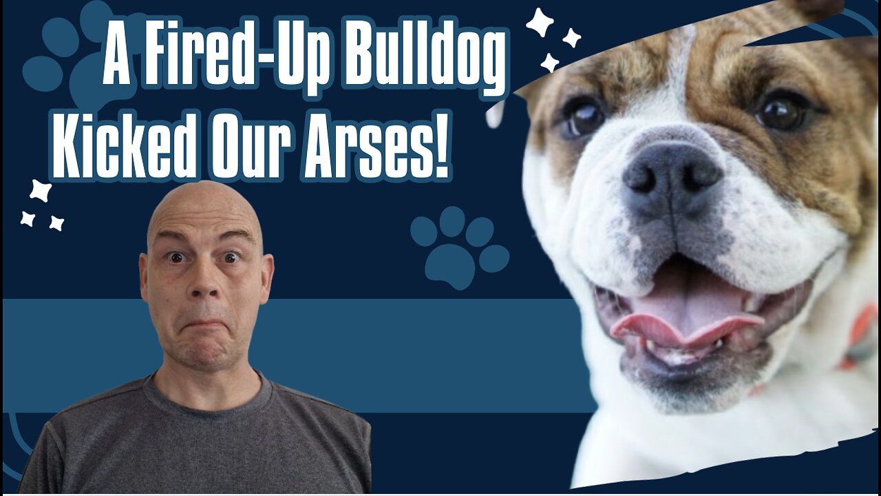 How A Fired Up Bulldog Kicked Our Arses Into Shape!