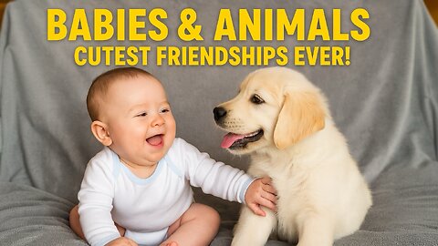 Babies & Animals Being Besties 🍼🐾 | Cutest Friendships Ever!