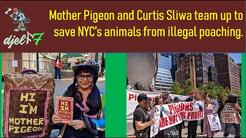 Mother Pigeon and Curtis Sliwa team up to save NYC's animals from illegal poaching