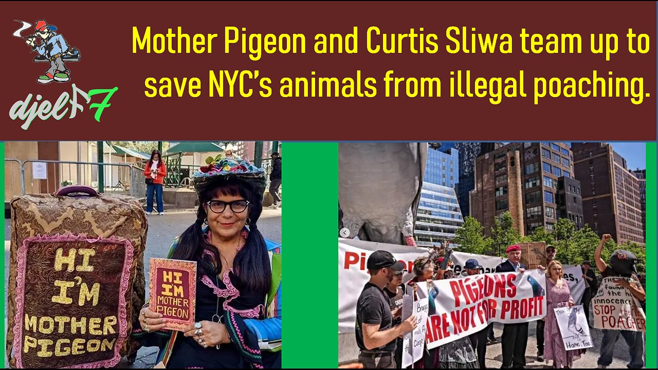 Mother Pigeon and Curtis Sliwa team up to save NYC's animals from illegal poaching