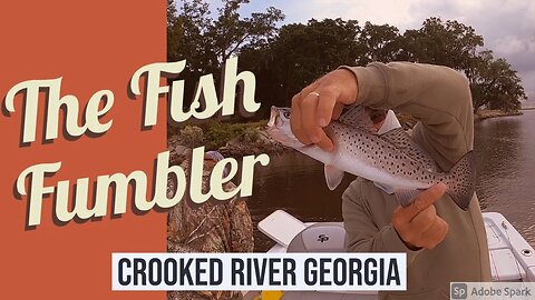 The Fish Fumbler