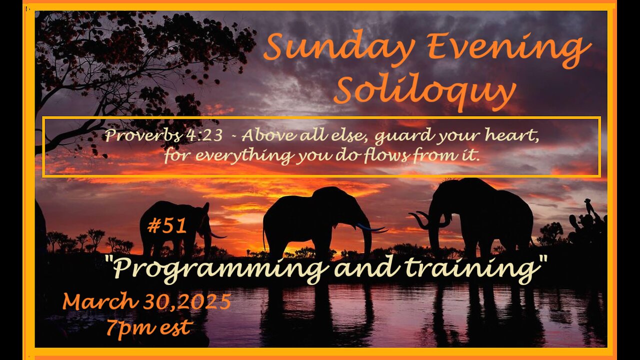 Sunday Evening Soliloquy ~ #51