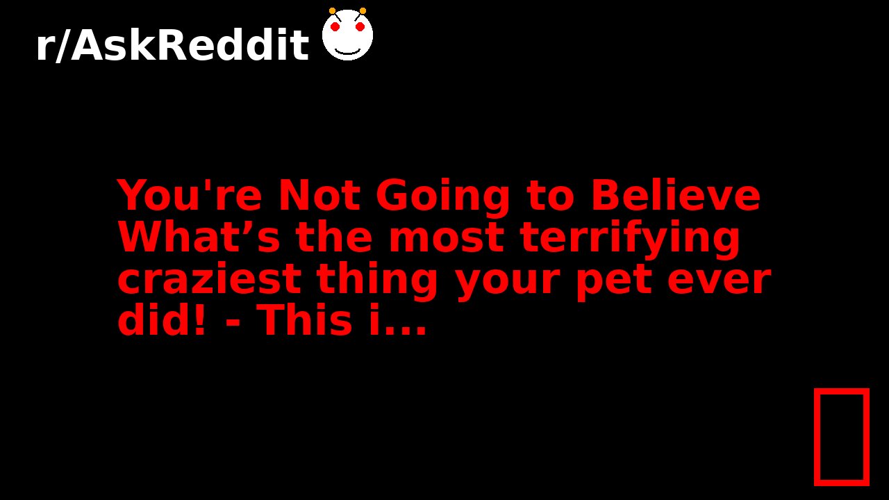 You're Not Going to Believe What’s the most terrifying craziest thing your pet ever did! - This i...